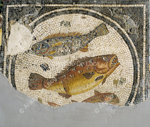 Mosaico de gladiadores. Emblema con fauna marina. Detalle