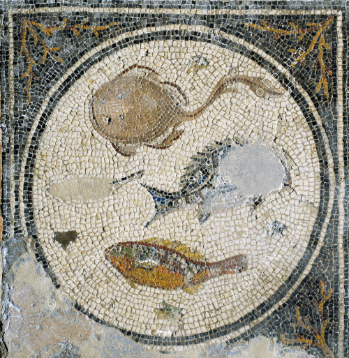 Gladiator-Mosaik. Wappen mit Meeresfauna. Ausschnitt