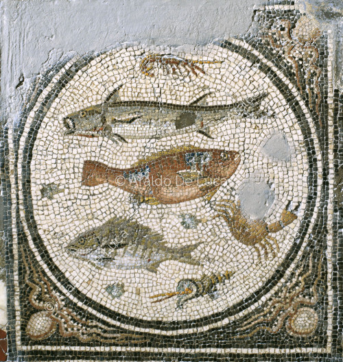 Mosaico de gladiadores. Emblema con fauna marina. Detalle