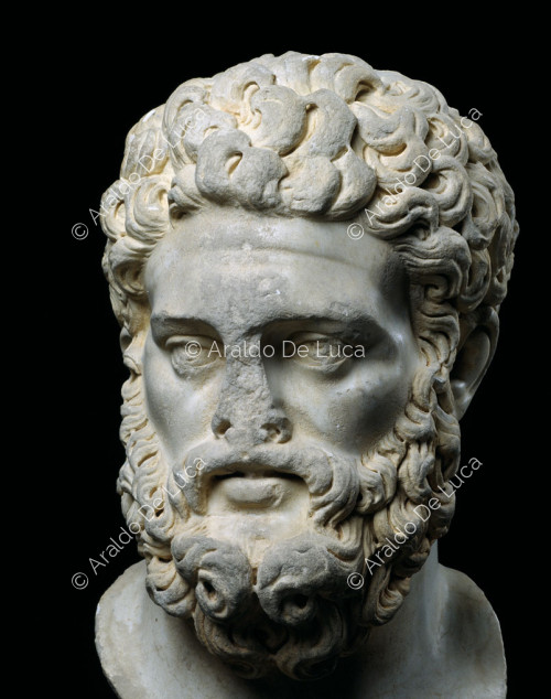 Ritratto in marmo di Ercole