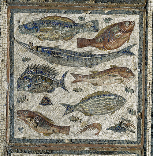 Mosaico delle Stagioni. Particolare con pesci