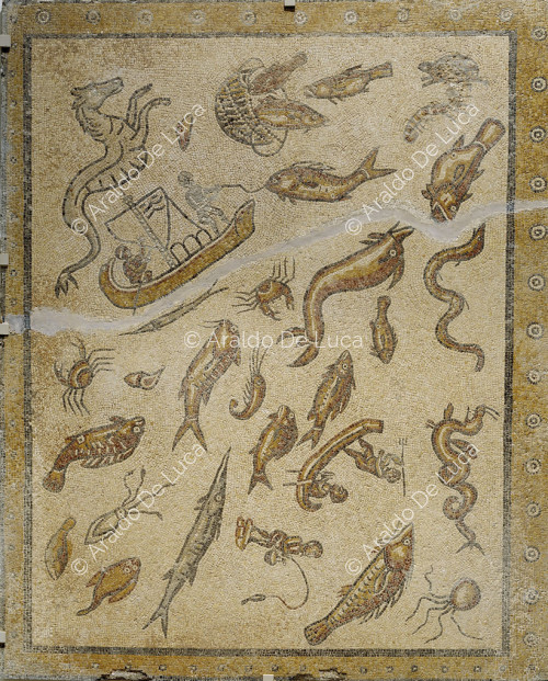 Panel mosaico con fauna marina