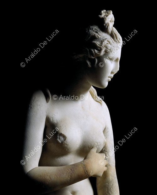 Estatua en marmol de Venus Capitolina. Detalle