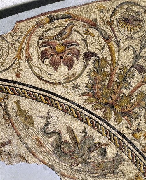 Mosaico con pesci e decorazione fitomorfa