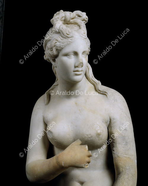 Statua in marmo della Venere Capitolina. Particolare