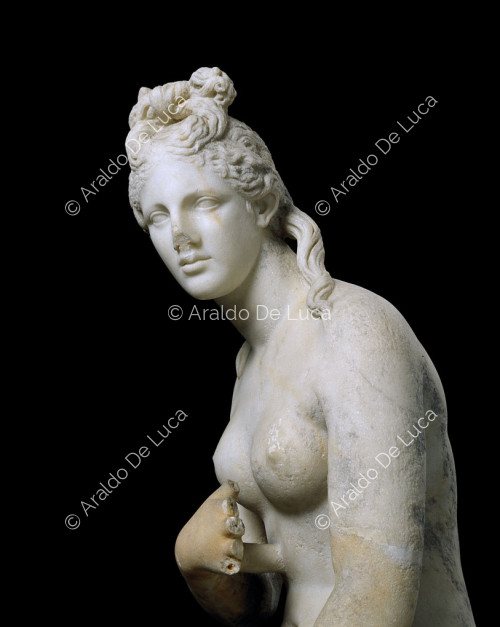 Estatua en marmol de la Venus Capitolina. Detalle