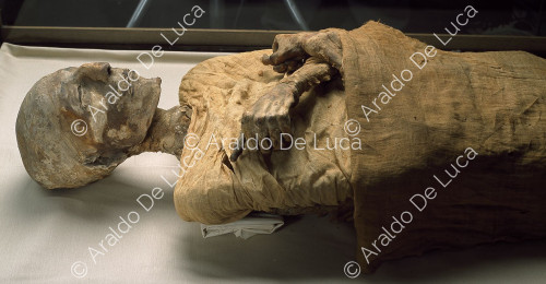 Mummie reali. Merenptah