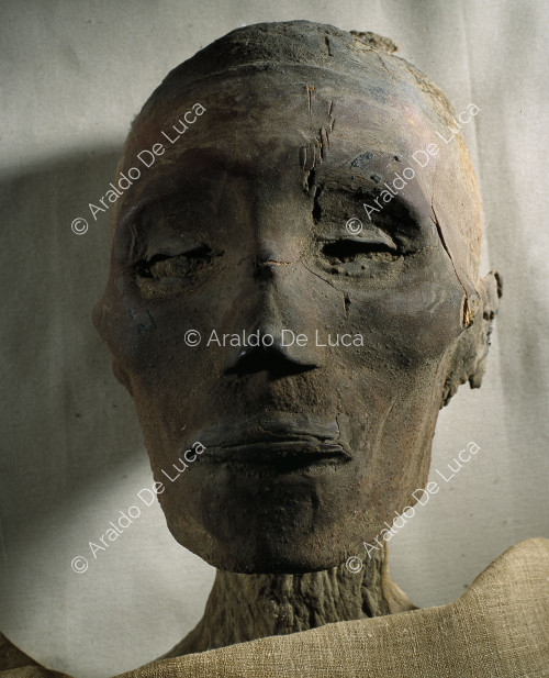 Mummie reali. Ramesse V