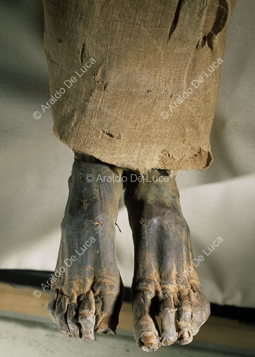 Mummie reali. Ramesse V