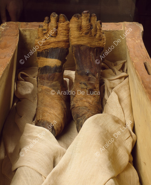 Mumie von Ramses II.