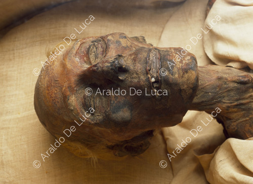 Mumie von Ramses II.
