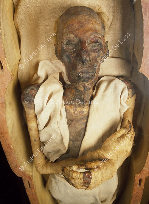 Mummy of Ramesses II