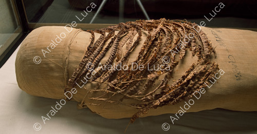 Mummia di Amenhotep II