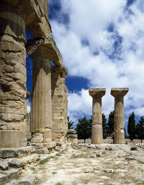 Temple of Zeus|