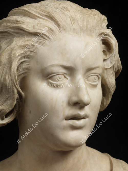 Bust of Costanza Bonarelli