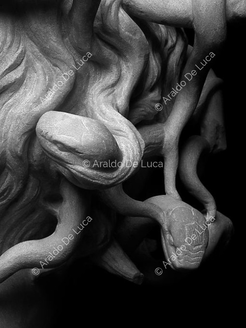 Busto di Medusa