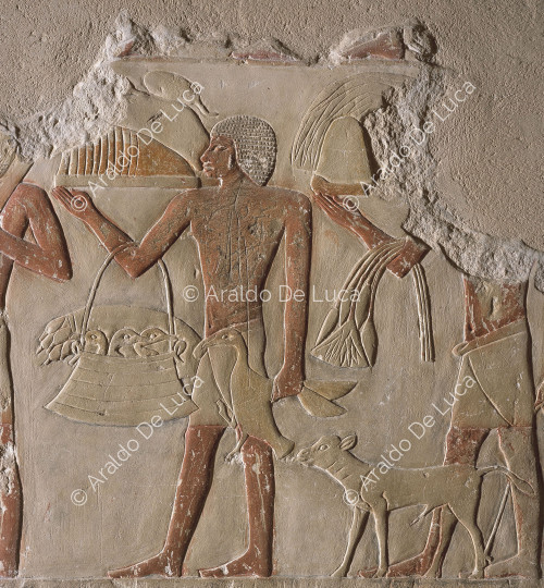 Mastaba di Idu G7102