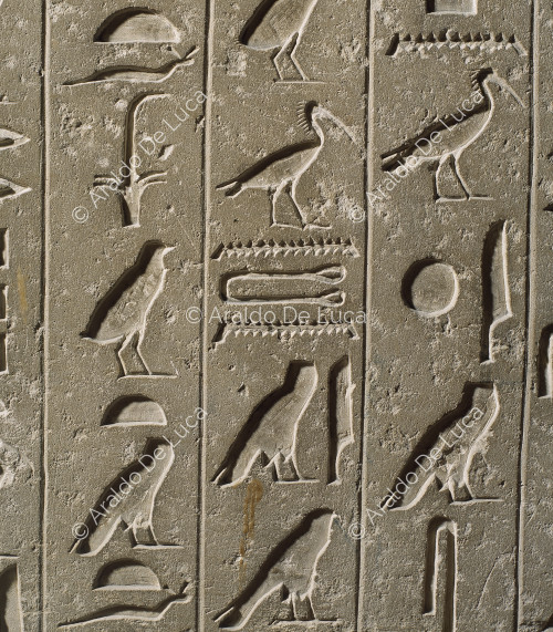 Detail mit Hieroglyphen aus der Mastaba von Qar
