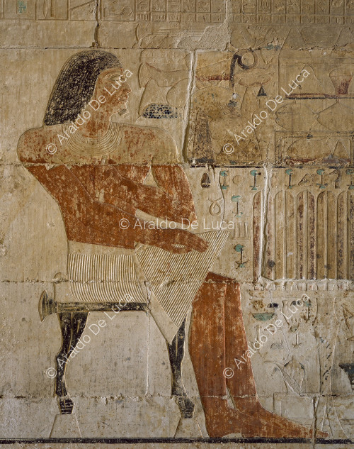 Mastaba de Niankhkhnum et Khnumhotep. Décoration murale