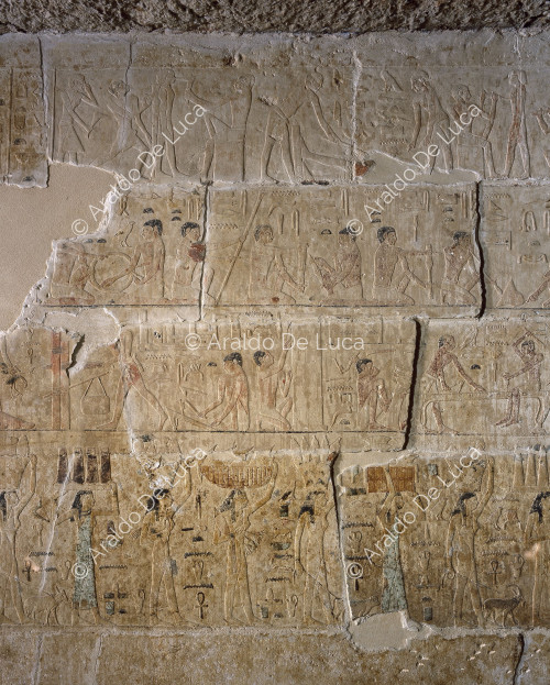 Mastaba di Niankhkhnum e Khnumhotep. Decorazione parietale
