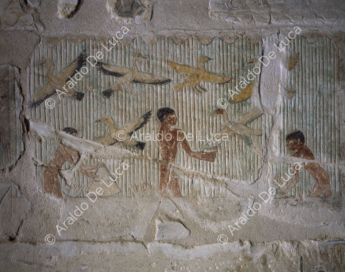 Mastaba of Niankhkhnum and Khnumhotep. Wall decoration