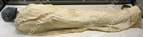 Mummia di Seti I