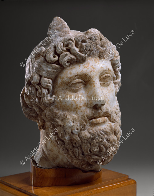 Head of Zeus Ammon