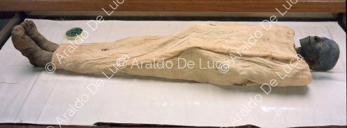 Mummia reale di Tutmosi I