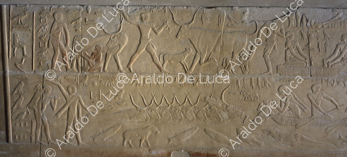 Mastaba of Kagmni. Wall decoration in relief