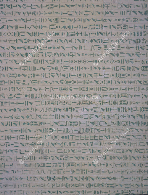 Wall inscription. Detail of hieroglyphic