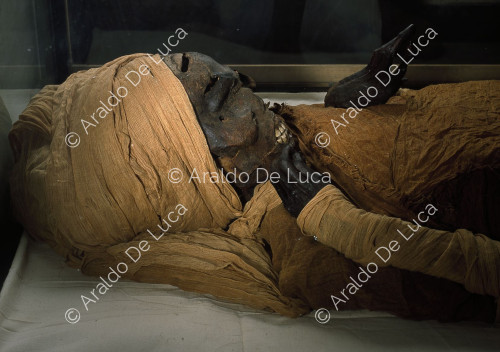 Mummie reali. Seqenereta'a - Din. XVII