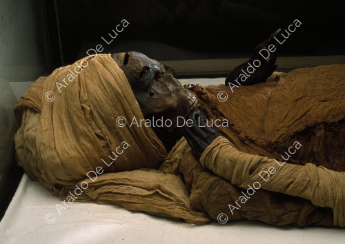 Mummie reali. Seqenereta'a - Din. XVII
