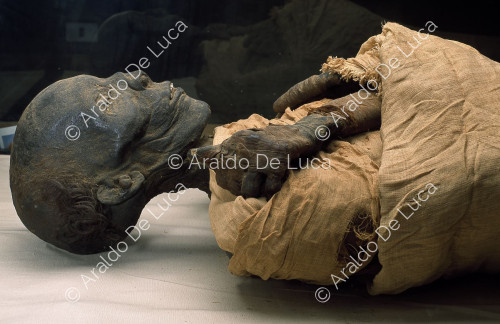 Mummie reali. Tutmosi II