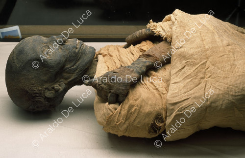 Königliche Mumien. Tutmosi II