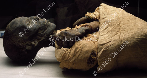 Mummie reali. Tutmosi II 