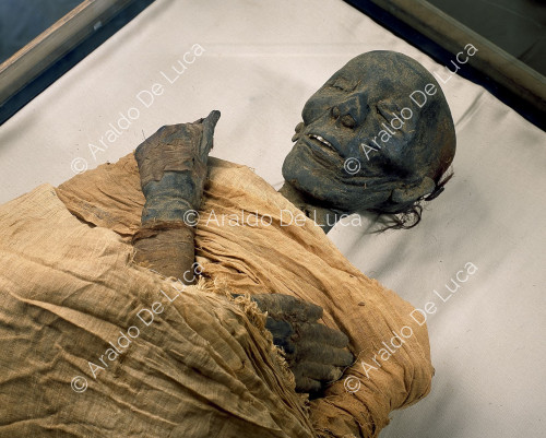 Mummie reali. Tutmosi II 