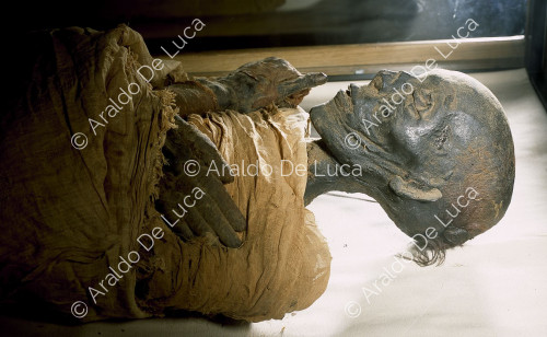 Les momies royales. Tutmosi II