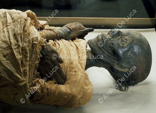 Royal mummies. Tutmosi II