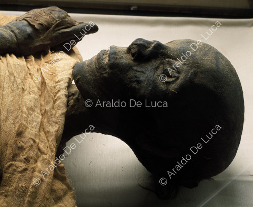 Mummie reali. Tutmosi II