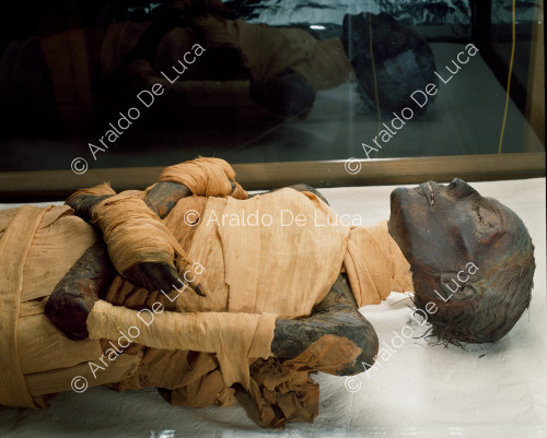 Mummie reali. Tutmosis IV
