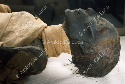 Mummie reali. Tutmosi IV