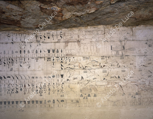 Mereruka burial chamber. Wall detail