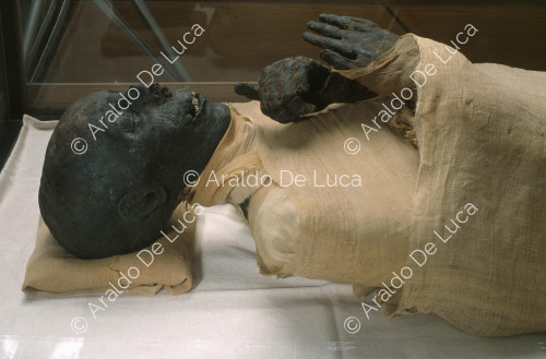 Mummie reali. Tutmosi III
