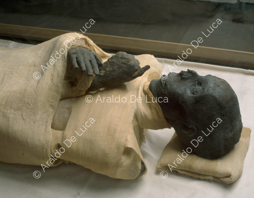 Royal mummies. Tutmosi III
