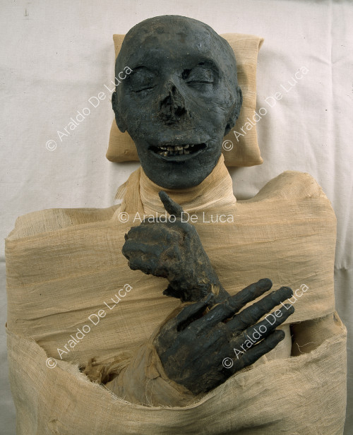 Royal mummies. Tutmosi III