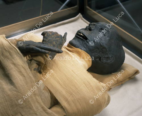 Königliche Mumien. Tutmosi III