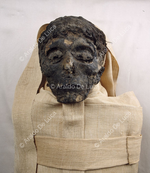 Momias reales, laboratorio Ahmose I