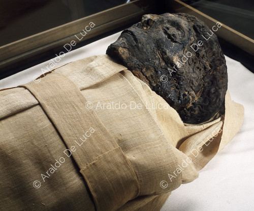Mummie reali, laboratorio Ahmose I