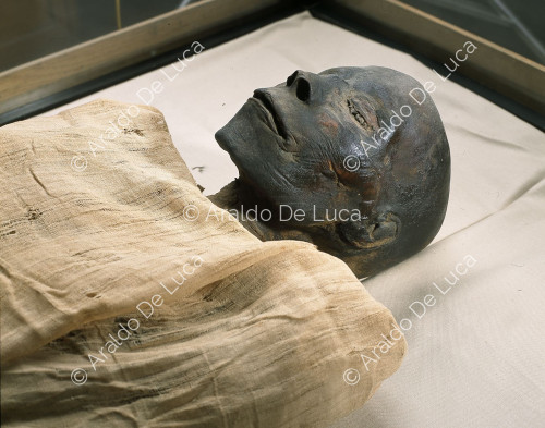 Royal mummies. Tutmosi I