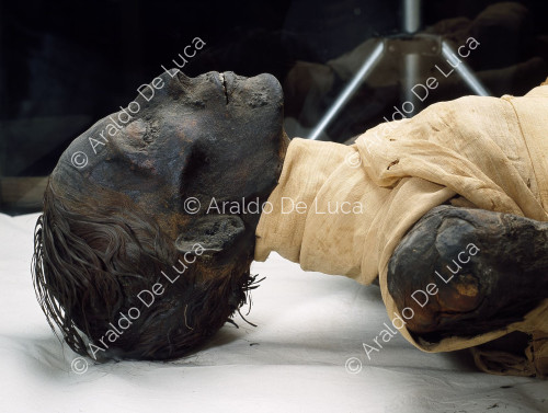 Mummie reali. Tutmosis IV.